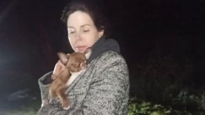 Гораций нашёл НОВЫЙ дом 03/04/26 #купить_щенка_чихуахуа_продаю +79215950848