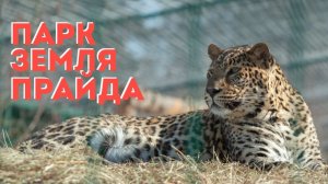 Парк Земля Прайда