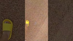 море в Египте