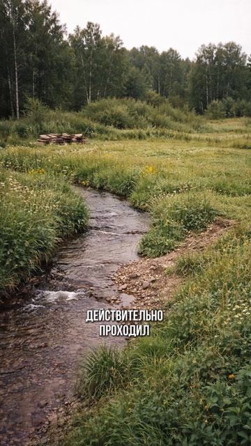 НЕ ПОВТОРЯЙТЕ ЭТУ ОШИБКУ: как не потерять дом из-за санитарной зоны