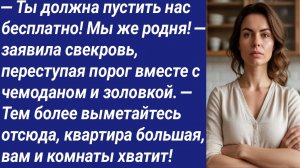 Истории со Смыслом/— Ты должна пустить нас бесплатно! Мы же родня! — заявила свекровь, переступая..