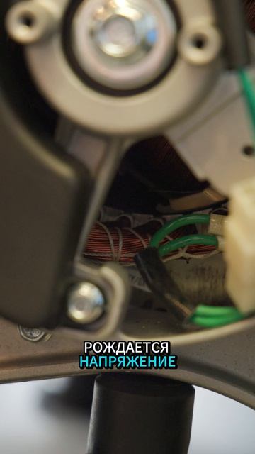 Что такое альтернатор и зачем он нужен в генераторе? #генератор #steviman #дача #сад #generator