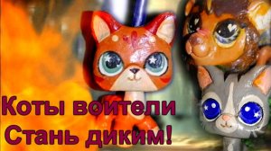 Коты воители Стань диким!трейлер 2026