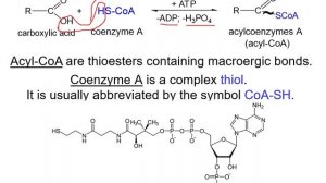 LECTURE 2. Carboxylic asids