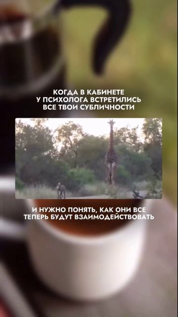 У психолога 😅😆 #психология #шутка