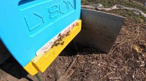 Пчёлы 2026-04-03 - часть 8