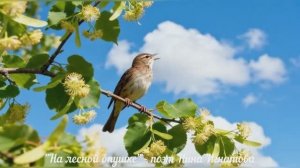 "На лесной опушке" - поэт Нина Игнатова