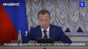 Медведев: выдворять мигрантов с опасными болезнями