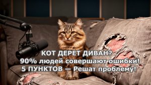 Кот портит мебель