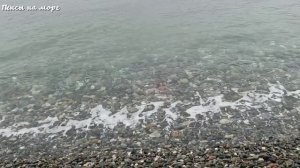 Прогулки по ФТ Сириус. Пляж "Гамма Сириус", апрель 2026 года