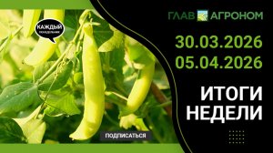 Итоги недели с ГлавАгроном 30.03.2026 – 05.04.2026