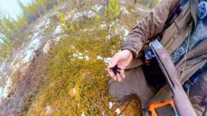 Собаки подняли зверя. Охота от первого лица в дебрях тайги. Мясо у костра.