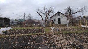 Обработка сада. Рецепт раствора показываю.