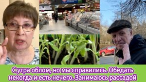 С утра облом, но мы справились к 10 утра. Обедать некогда и есть нечего. Занимаюсь рассадой.