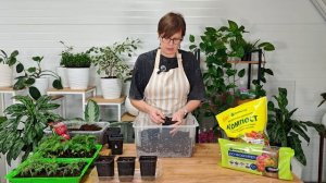 Пикировка томатов и перцев с Томой