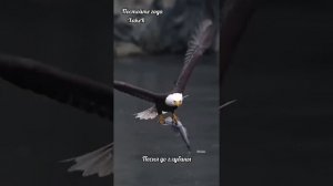 Песня:" Постойте года!"