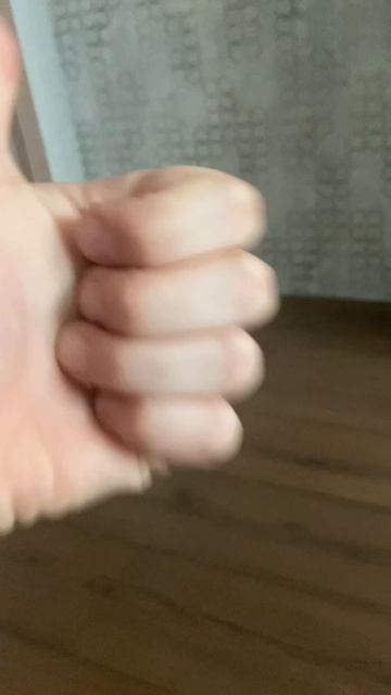 Какая машина 🚗 пролетит через собаку