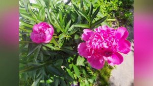 лето часть 3