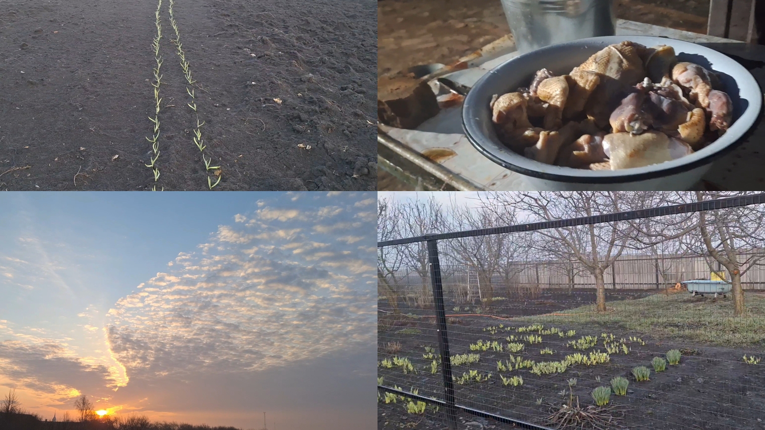 03-04-2026 Жизнь Деревенская