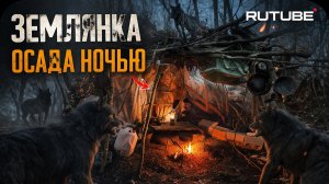 Стая ВОЛКОВ напала на НАС в ЛЕСУ!