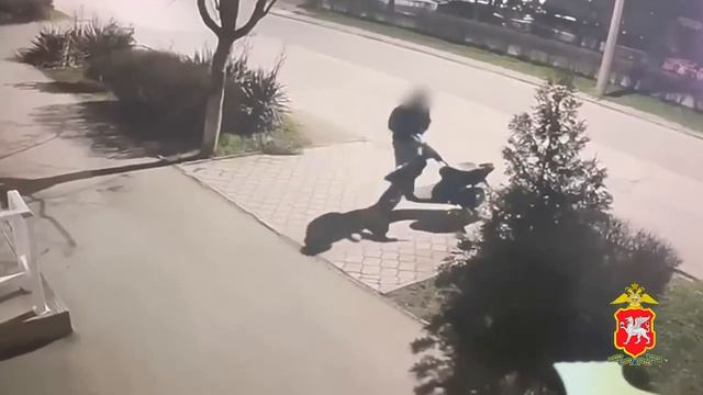 Полицейскими Евпатории раскрыта кража мопеда «по горячим следам»