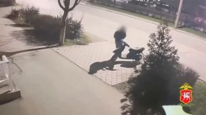 Полицейскими Евпатории раскрыта кража мопеда «по горячим следам»