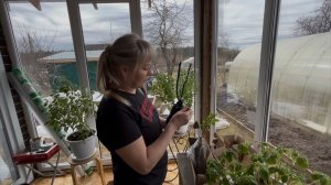 Очередной день на любимой даче/Купили розы и лилии