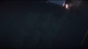 Зверополис 2 (2024)