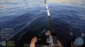 Рыбацкий дневник игрока с ником DeepCatch: погружение в „Русскую рыбалку 4“