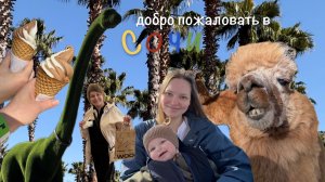 ВЛОГ #1 Сочи (Скай парк, Ривьера, Роза Хутор)