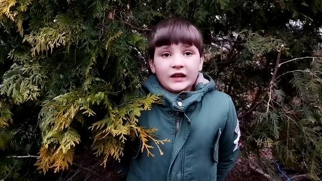 Баллада о матери. Андрей Дементьев.