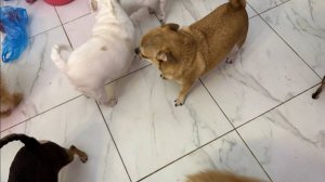 Пришло время плотно подкрепиться.