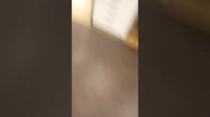 кажется позади меня что-то есть...