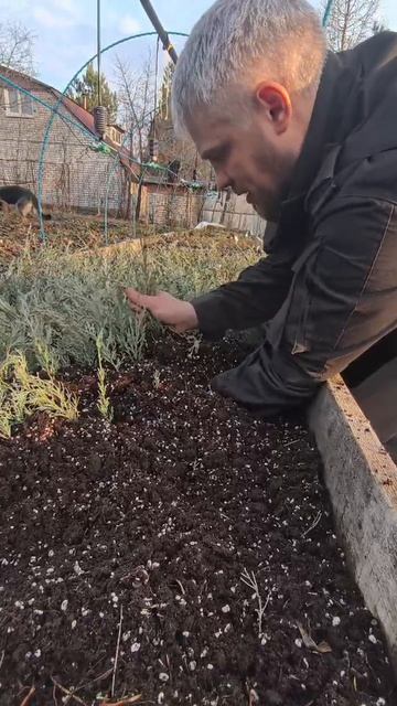 Корневая пушка💥💥💥