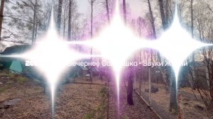 2026-04-03 Вечернее Солнышко - Звуки Жизни...