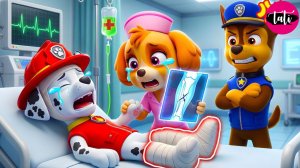 Щенячий патруль и Маршалл. Залипательное видео. Мультфильм для детей и малышей. Анимация 357