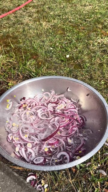 Лучший маринованный лук к шашлыку