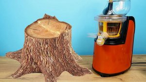 ЧТО ЕСЛИ ВЫЖАТЬ СОК ИЗ ДЕРЕВА?! Бедная соковыжималка!