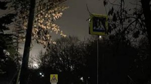 идеи для летних образов💗