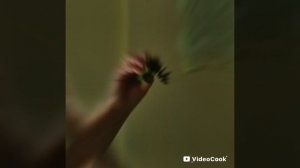 🌱 Моменты весеннего дня