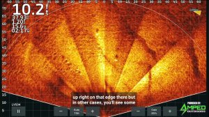 Перспектива lvs34