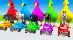 Мультики для детей и малышей. Смешная звериная ферма с Гусями и свинюшками. Мультики залипалки