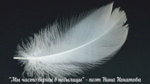 "Мы часто верим в небылицы" - поэт Нина Игнатова