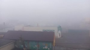 Таловая, Таловский район, туман на улице и пение птиц и какие-то хлопки. 03-04-2026