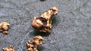 Нашёл Золото в отвалах древних старателей!