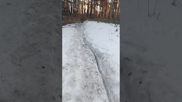 VID_20260331~2.
