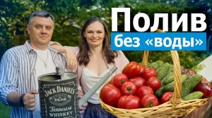 НЕ ПОЛИВАЙТЕ пока не узнаете это простая схема и нормы полива на даче