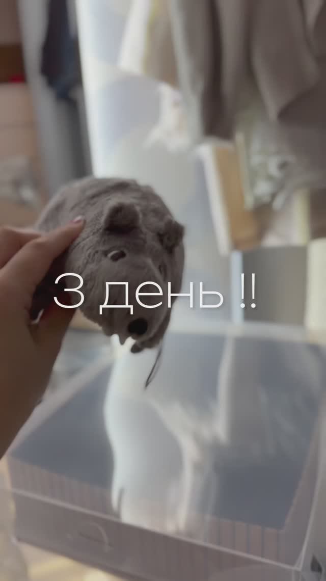 День 3 | минус 28 вещей | энергии еще больше