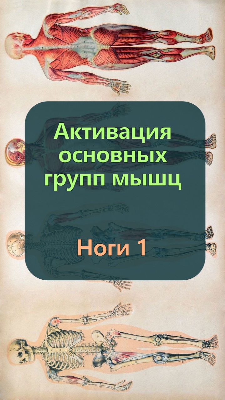 Активация мышц ног 1 — Икроножные и берцовые