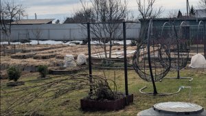 Моем 🏠 дом, окна,пересаживаем деревья. Готовим место под теплицу.